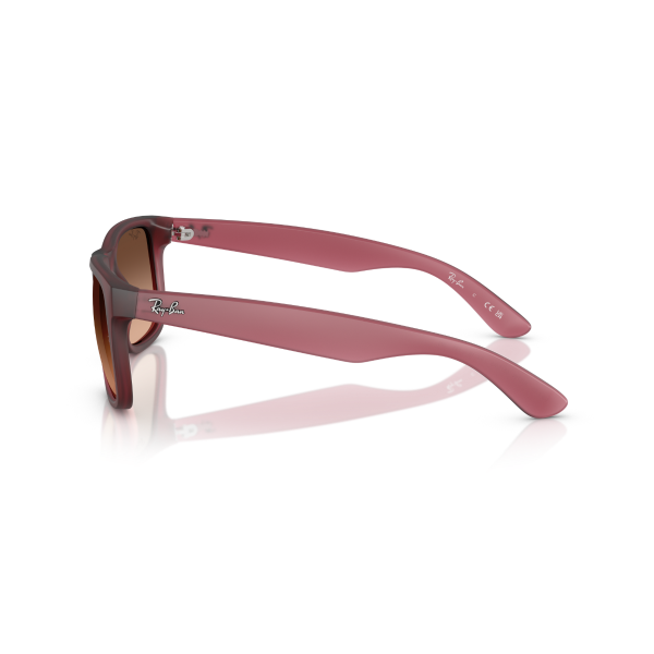 RB 4165 6815A5 55 Ray-Ban JUSTIN Güneş Gözlüğü