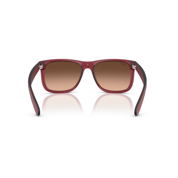 RB 4165 6815A5 55 Ray-Ban JUSTIN Güneş Gözlüğü