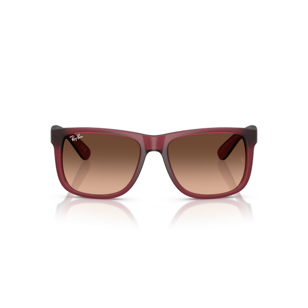 RB 4165 6815A5 55 Ray-Ban JUSTIN Güneş Gözlüğü