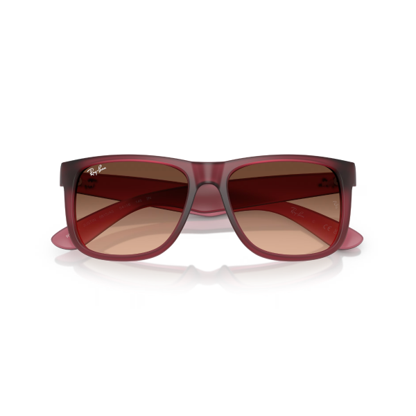 RB 4165 6815A5 55 Ray-Ban JUSTIN Güneş Gözlüğü