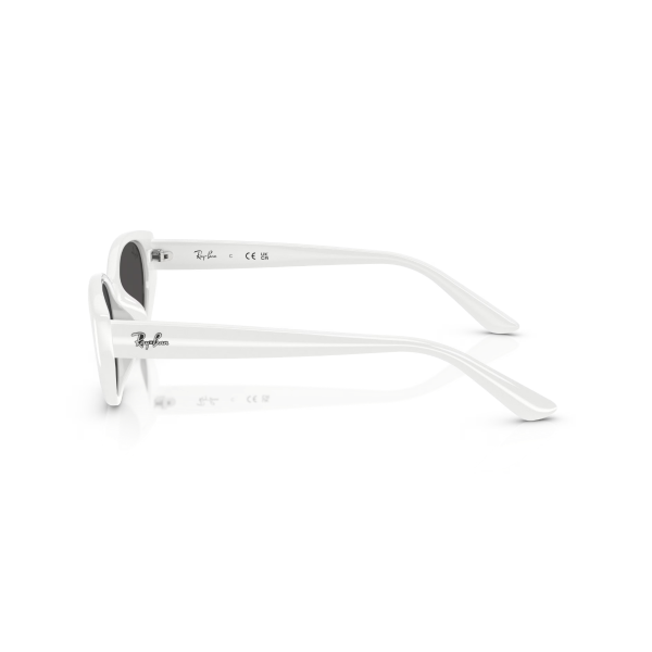 RB 4457D 677287 55 Ray-Ban Güneş Gözlüğü