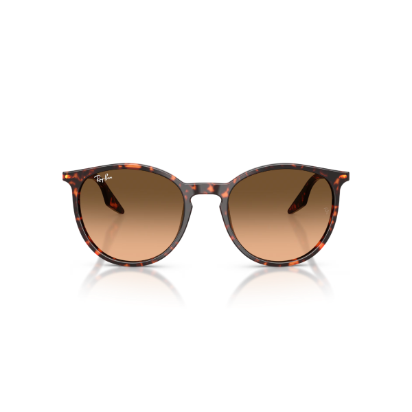 RB 2204 14293B 54 Ray-Ban Güneş Gözlüğü