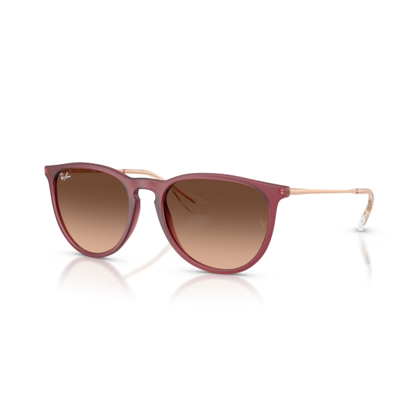 RB 4171 6815A5 54 Ray-Ban ERIKA Güneş Gözlüğü