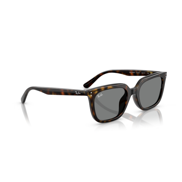 RB 4439D 710/87 54 Ray-Ban Güneş Gözlüğü