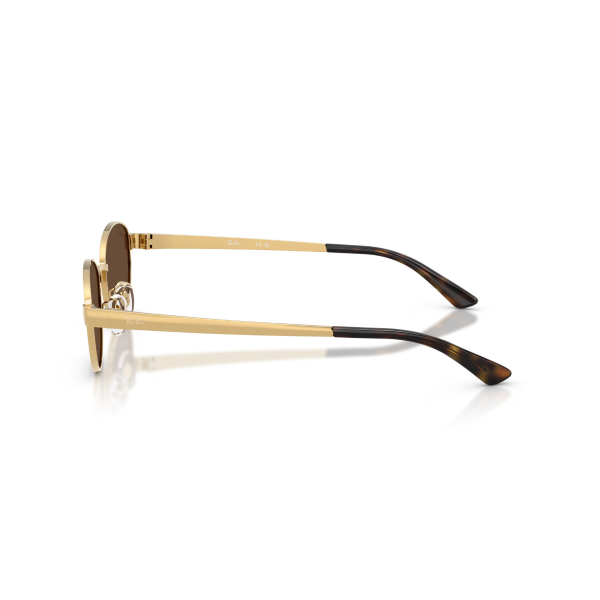 RB 3774D 001/73 55 Ray-Ban Güneş Gözlüğü