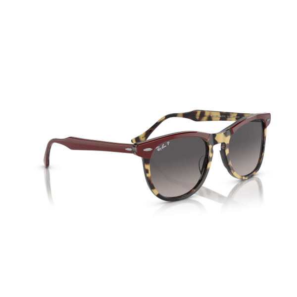 RB 2398 1377M3 53 Ray-Ban EAGLEEYE Polarize Güneş Gözlüğü