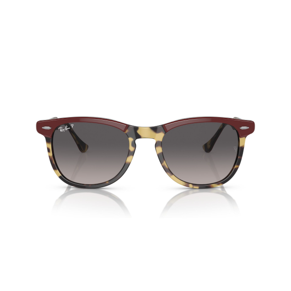 RB 2398 1377M3 53 Ray-Ban EAGLEEYE Polarize Güneş Gözlüğü