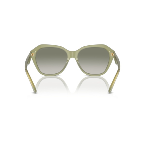 EA 4221 61168E 56 Emporio Armani Güneş Gözlüğü