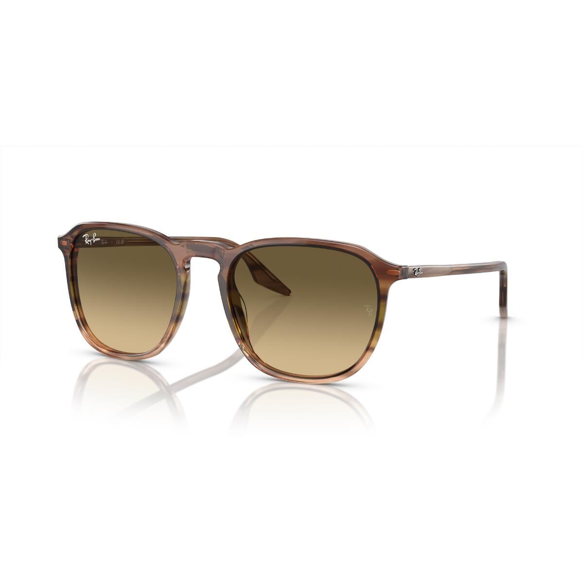 RB 2203 13920A 52 Ray-Ban Güneş Gözlüğü