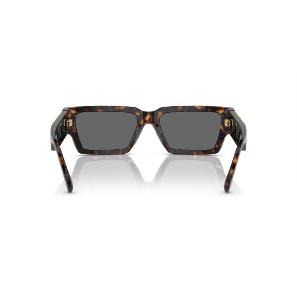 VE 4459 108/87 54 Versace Güneş Gözlüğü
