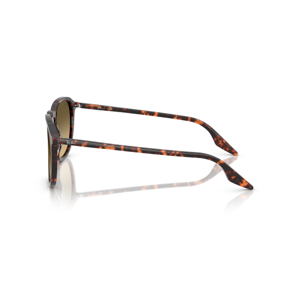 RB 2203 14290A 52 Ray-Ban Güneş Gözlüğü