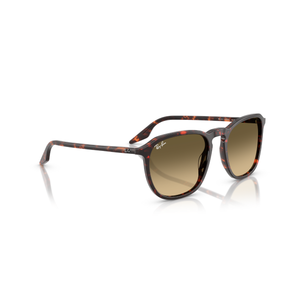 RB 2203 14290A 52 Ray-Ban Güneş Gözlüğü