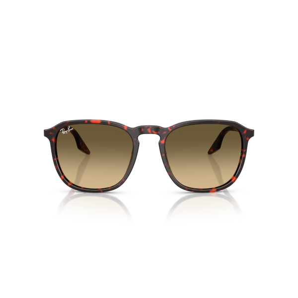 RB 2203 14290A 52 Ray-Ban Güneş Gözlüğü