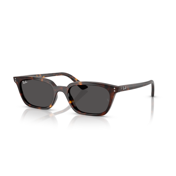 RB 4456 135987 53 Ray-Ban ZAYA Güneş Gözlüğü