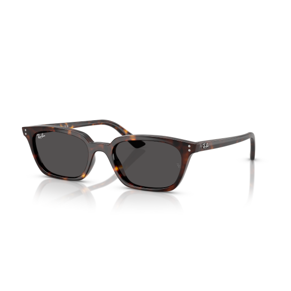 RB 4456 135987 53 Ray-Ban ZAYA Güneş Gözlüğü