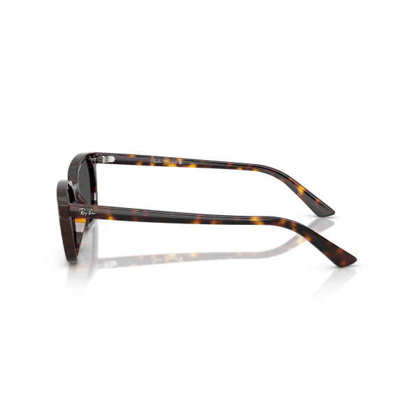 RB 4456 135987 53 Ray-Ban ZAYA Güneş Gözlüğü