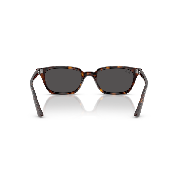 RB 4456 135987 53 Ray-Ban ZAYA Güneş Gözlüğü