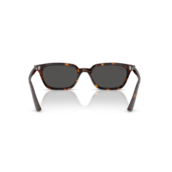 RB 4456 135987 53 Ray-Ban ZAYA Güneş Gözlüğü