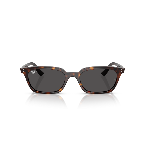 RB 4456 135987 53 Ray-Ban ZAYA Güneş Gözlüğü