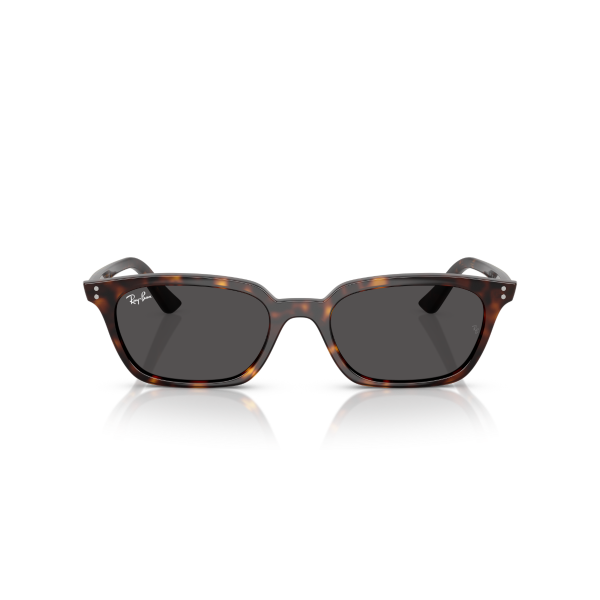 RB 4456 135987 53 Ray-Ban ZAYA Güneş Gözlüğü