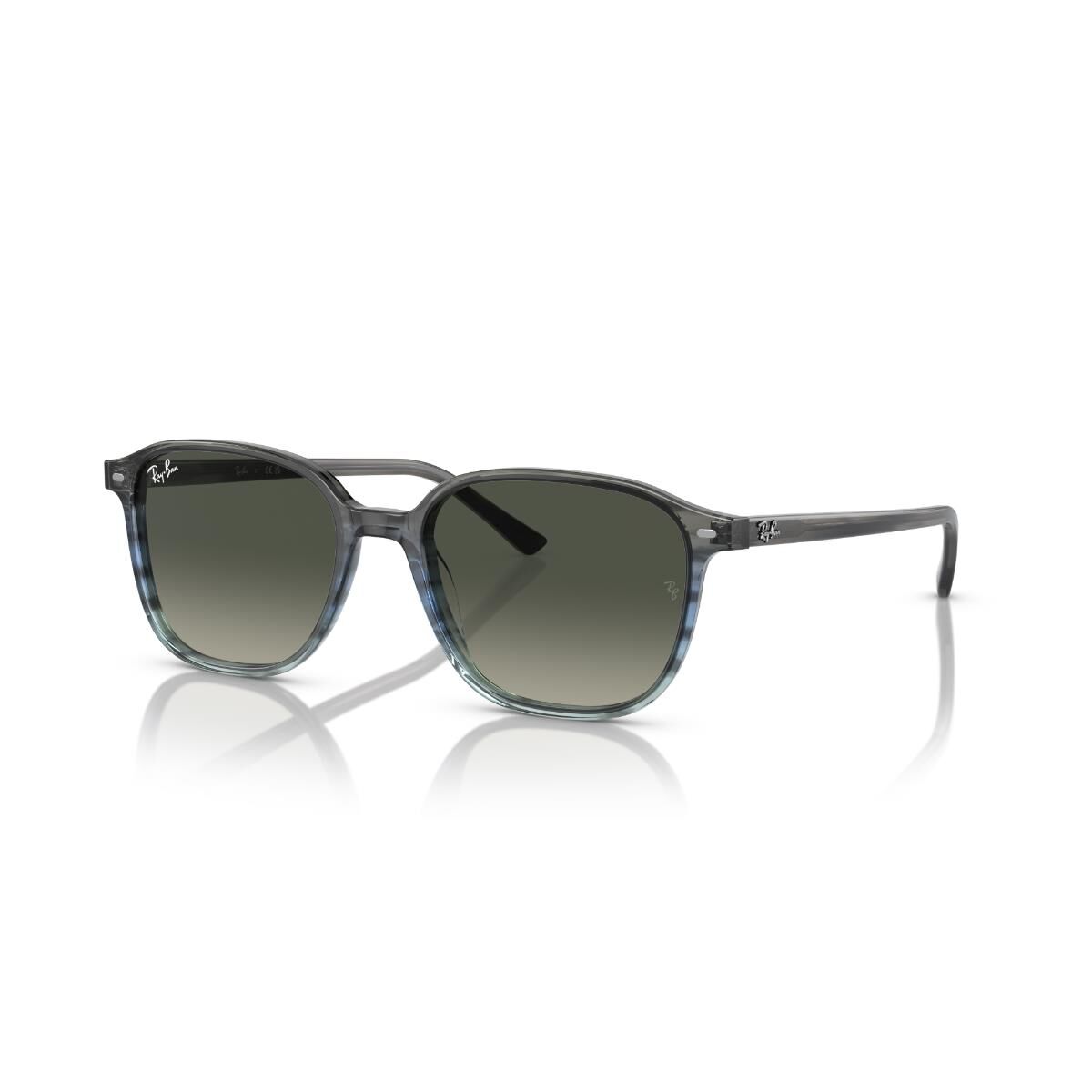 RB 2193 138171 53 Ray-Ban LEONARD Güneş Gözlüğü