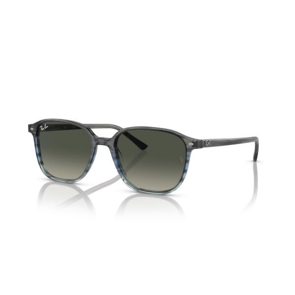 RB 2193 138171 53 Ray-Ban LEONARD Güneş Gözlüğü