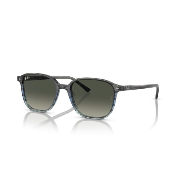RB 2193 138171 53 Ray-Ban LEONARD Güneş Gözlüğü