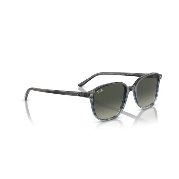RB 2193 138171 53 Ray-Ban LEONARD Güneş Gözlüğü