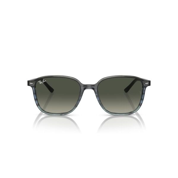 RB 2193 138171 53 Ray-Ban LEONARD Güneş Gözlüğü