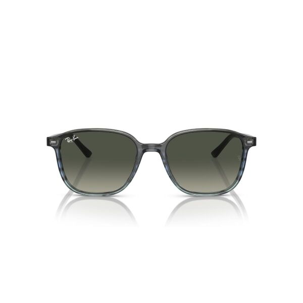RB 2193 138171 53 Ray-Ban LEONARD Güneş Gözlüğü