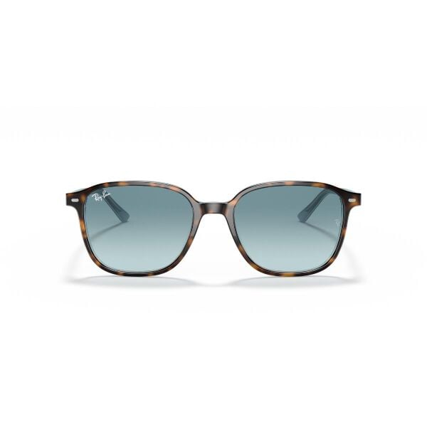 RB 2193 13163M 53 Ray-Ban LEONARD Güneş Gözlüğü