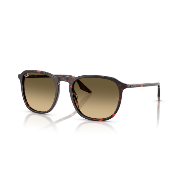 RB 2203 14290A 55 Ray-Ban Güneş Gözlüğü