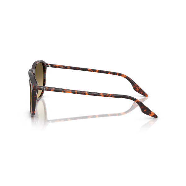 RB 2203 14290A 55 Ray-Ban Güneş Gözlüğü