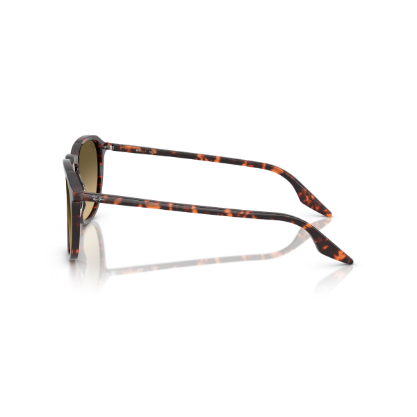 RB 2203 14290A 55 Ray-Ban Güneş Gözlüğü