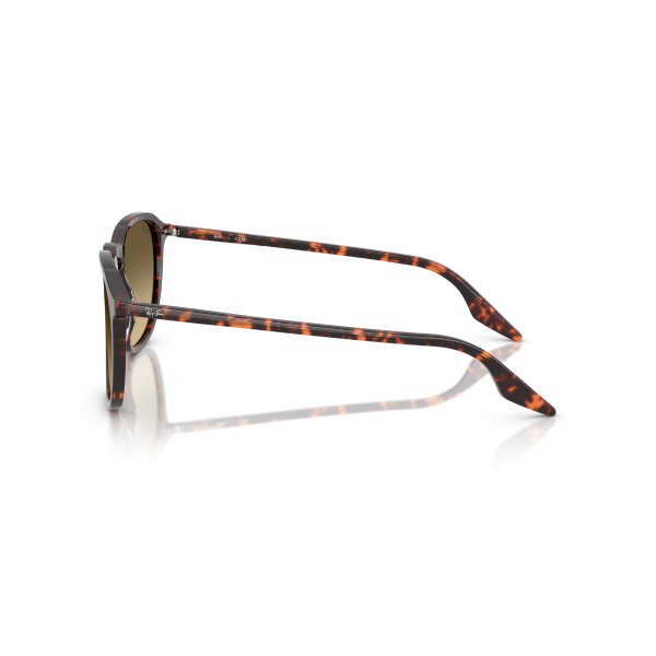 RB 2203 14290A 55 Ray-Ban Güneş Gözlüğü