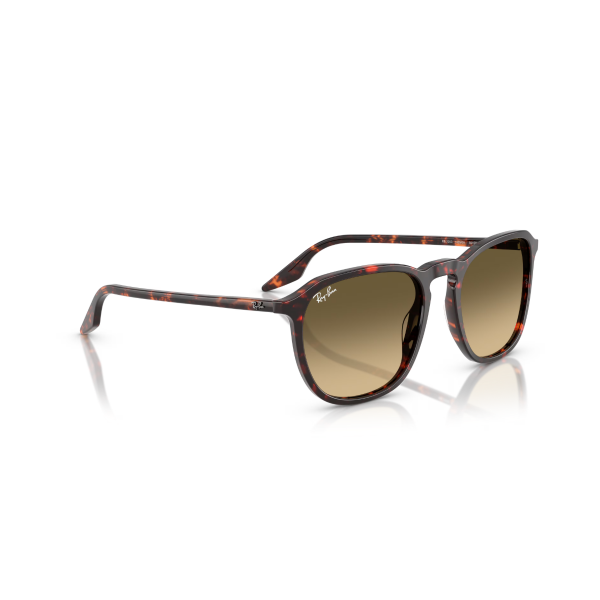 RB 2203 14290A 55 Ray-Ban Güneş Gözlüğü