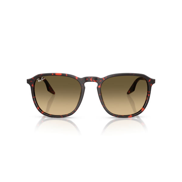 RB 2203 14290A 55 Ray-Ban Güneş Gözlüğü