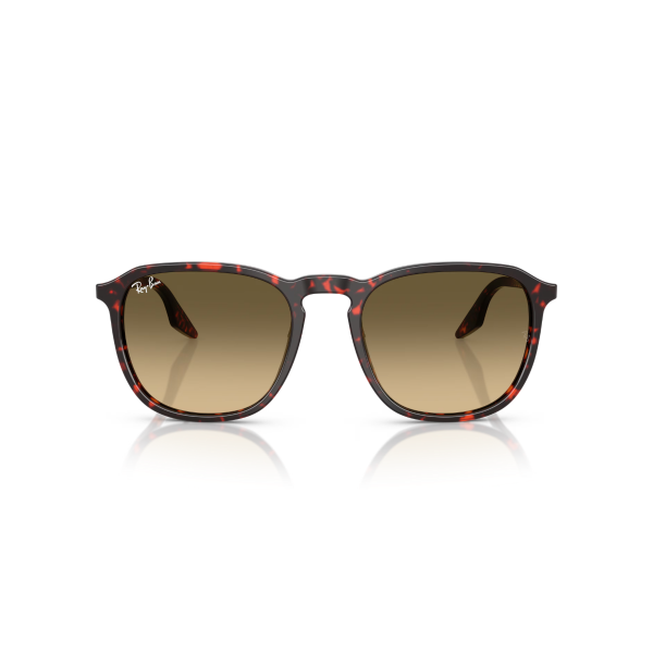 RB 2203 14290A 55 Ray-Ban Güneş Gözlüğü