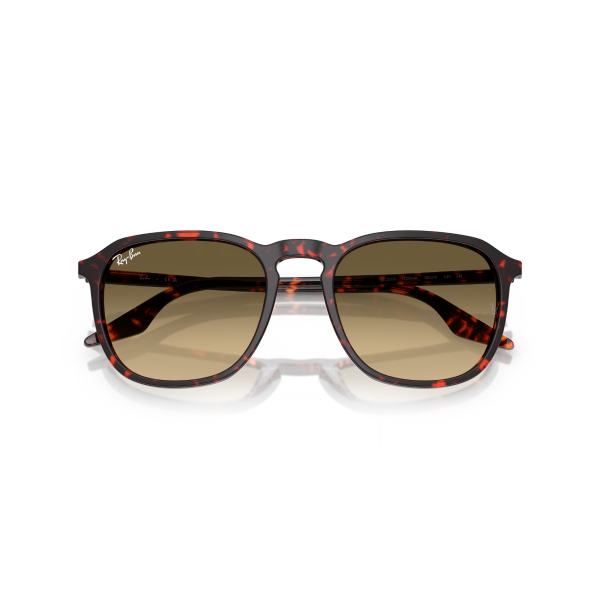 RB 2203 14290A 55 Ray-Ban Güneş Gözlüğü