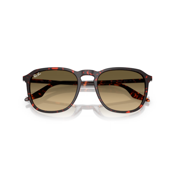 RB 2203 14290A 55 Ray-Ban Güneş Gözlüğü