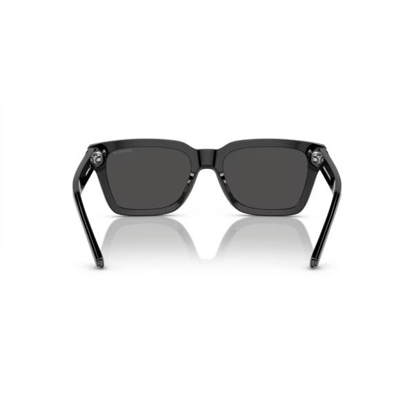 AN 4334 121487 53 Arnette COLD HEART 2.0 Güneş Gözlüğü