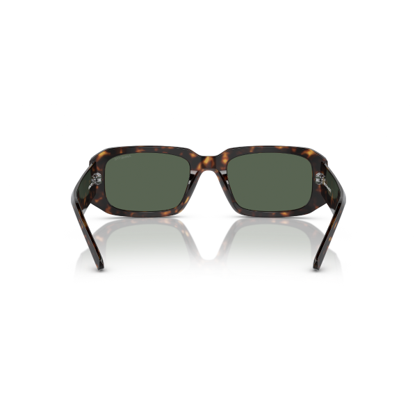 AN 4318 122271 53 Arnette THEKIDD Güneş Gözlüğü