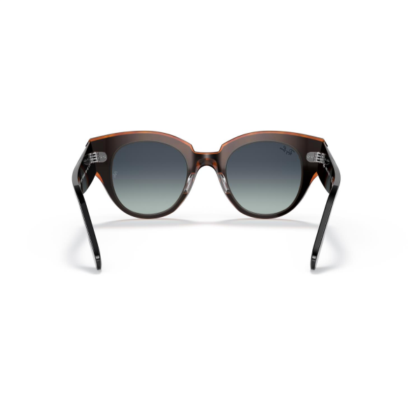RB 2192 132241 47 Ray-Ban ROUNDABOUT Güneş Gözlüğü