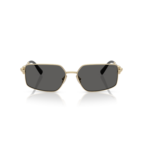 TF 3111 6021S4 58 Tiffany & Co. Güneş Gözlüğü