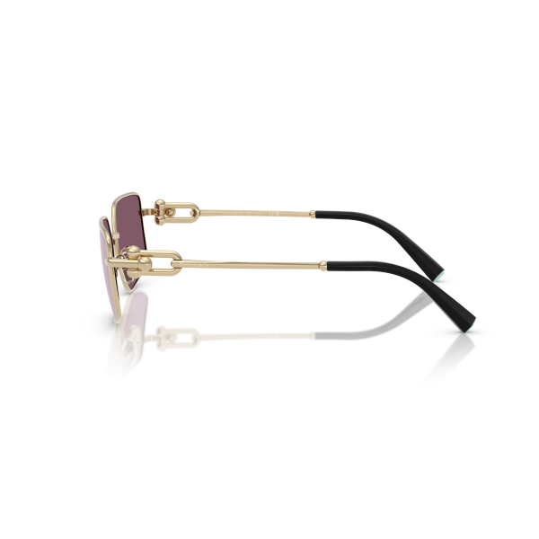 TF 3111 6194AK 58 Tiffany & Co. Güneş Gözlüğü
