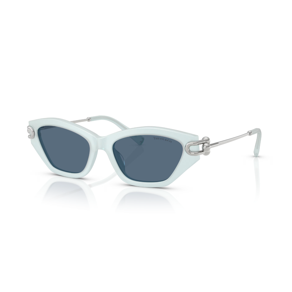 TF 4231U 843680 53 Tiffany & Co. Güneş Gözlüğü