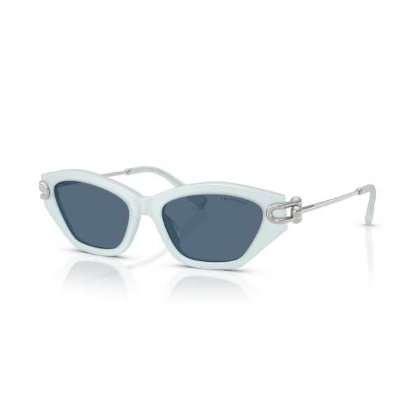 TF 4231U 843680 53 Tiffany & Co. Güneş Gözlüğü