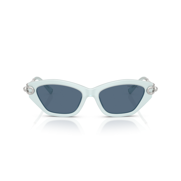 TF 4231U 843680 53 Tiffany & Co. Güneş Gözlüğü