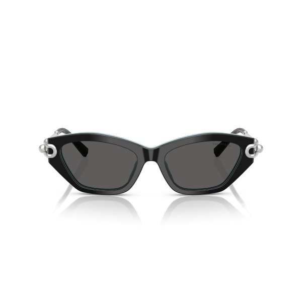TF 4231U 8055S4 53 Tiffany & Co. Güneş Gözlüğü