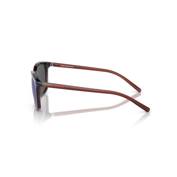 AN 4316 288055 51 Arnette C'ROLL Güneş Gözlüğü